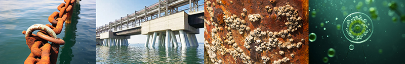 CPT used in the shipping and marine industry